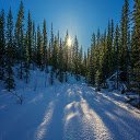 Winter Forest HD Wallpaper Theme screen for extension Chrome web store in OffiDocs Chromium